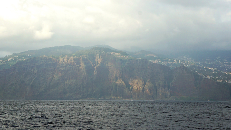 cliffs of Madeira