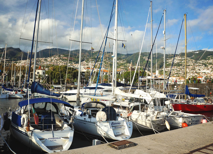 Funchal Marina