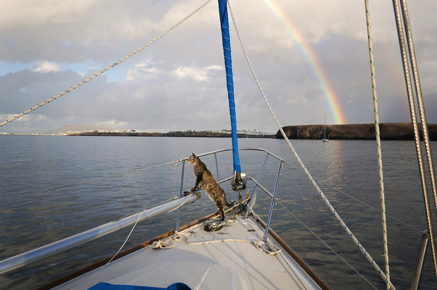 Georgie & rainbow