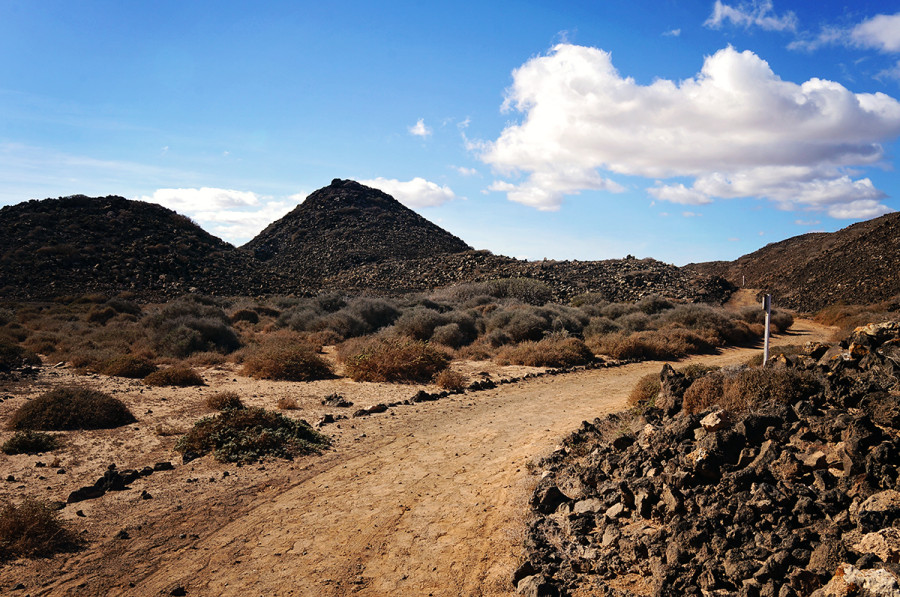 trails at Isla Los Lobos