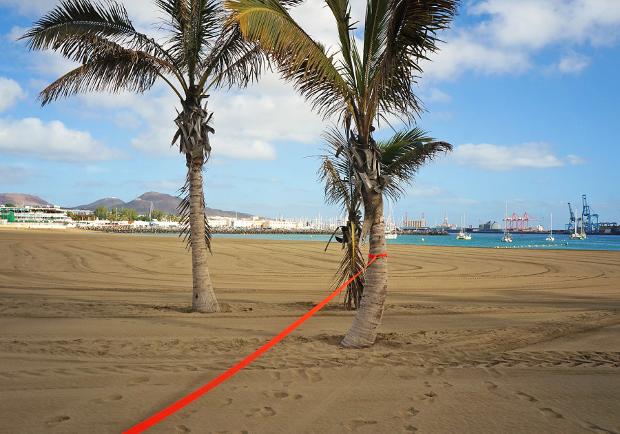 Slacklining Las Palmas de Gran Canaria