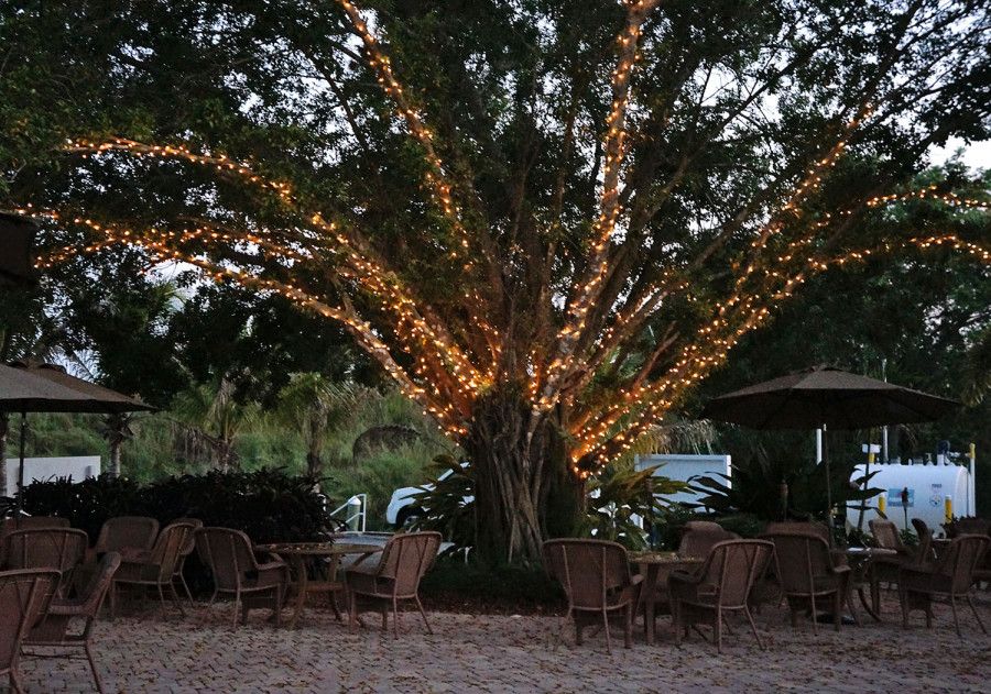 patio of Indiantown Marina