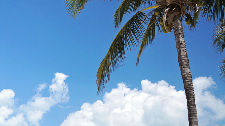 Old Bahama Bay Marina & Resort