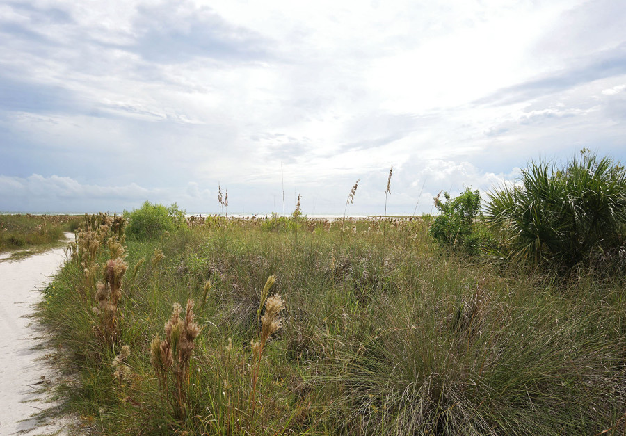 Trail head Siesta Beach