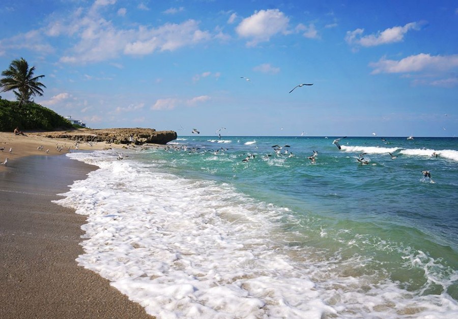 Bathtub Reef Beach, Hutchinson Island, Stuart Florida