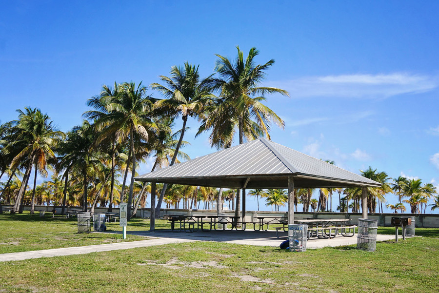 picnic area, Crandon Park