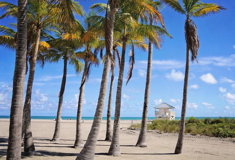 Crandon Park, Key Biscayne