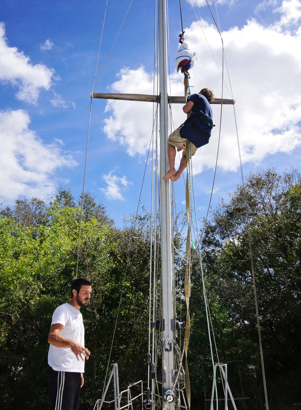 Jamel up the mast