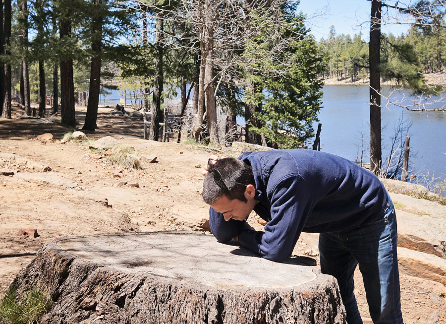 Matt counting tree rings