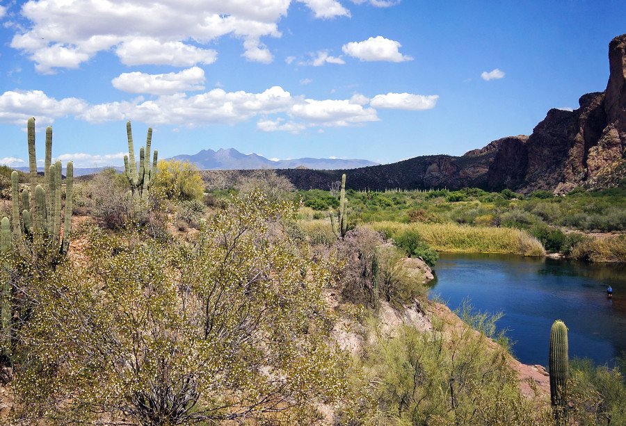 Four Peaks, AZ