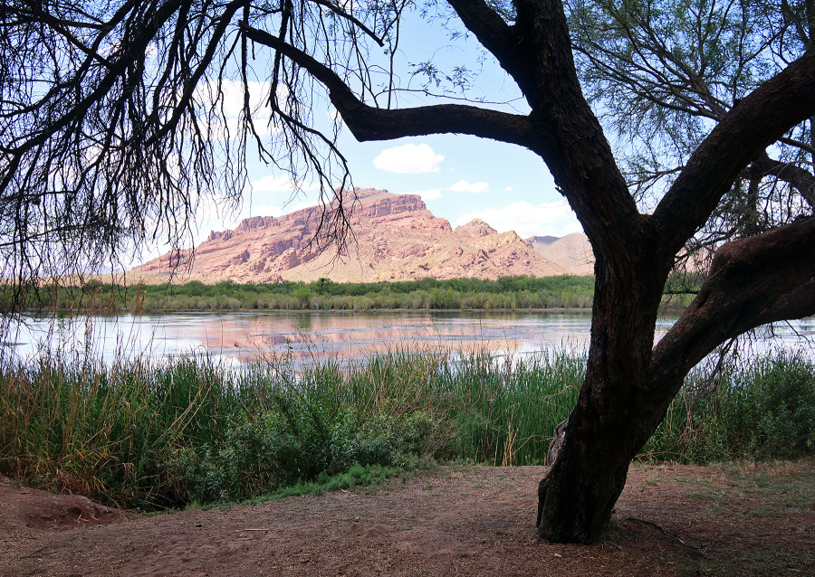 Red Rock, AZ