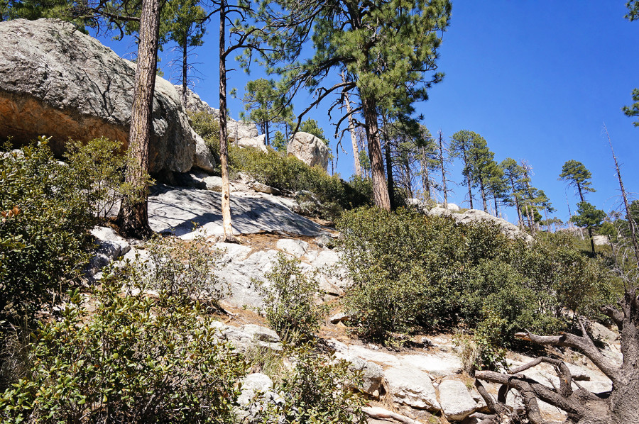 Summerhaven, Mt. Lemmon AZ