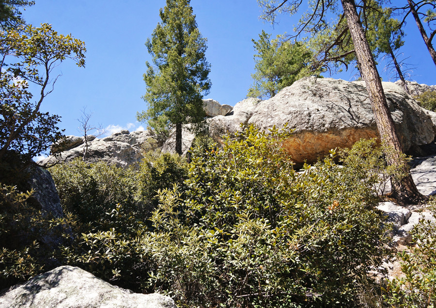 hiking in Summerhaven, Mt. Lemmon